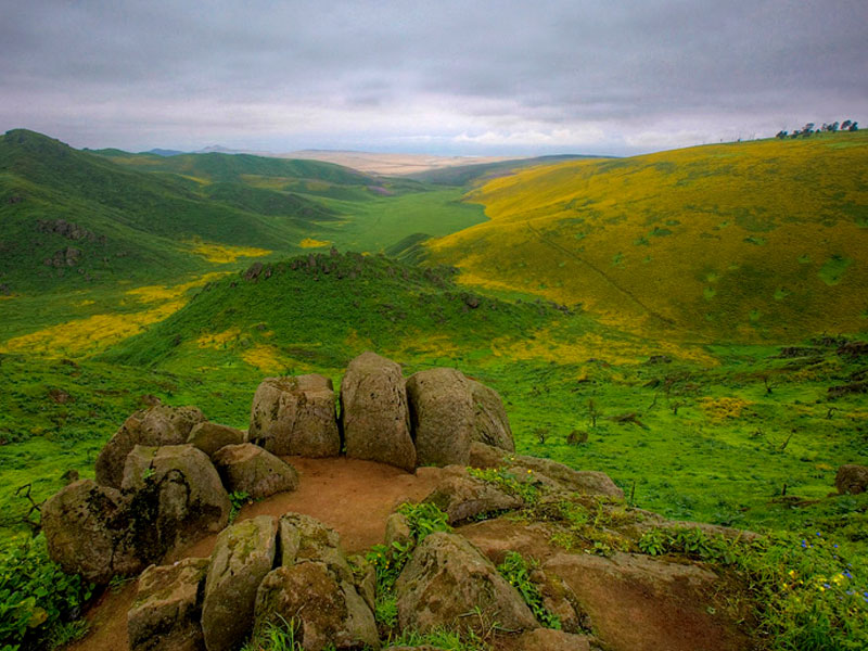 On this  #EarthDay   we're visiting Reserva Nacional de Lachay (Lachay National Reserve), 65 miles north of the capital of Lima, Peru. Wildlife in the reserve includes the Sechuran fox, puma, white-tailed deer, Pampas cat & birds like the Vermilion flycatcher & the Andean tinamou.