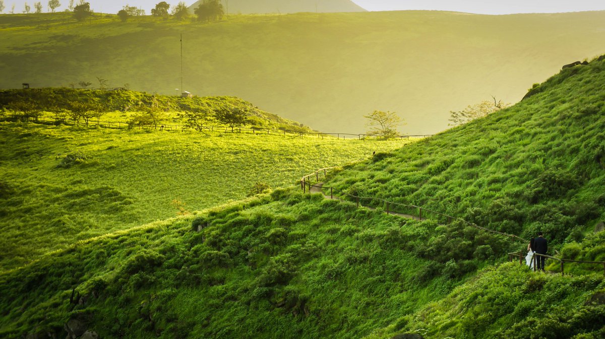 On this  #EarthDay   we're visiting Reserva Nacional de Lachay (Lachay National Reserve), 65 miles north of the capital of Lima, Peru. Wildlife in the reserve includes the Sechuran fox, puma, white-tailed deer, Pampas cat & birds like the Vermilion flycatcher & the Andean tinamou.