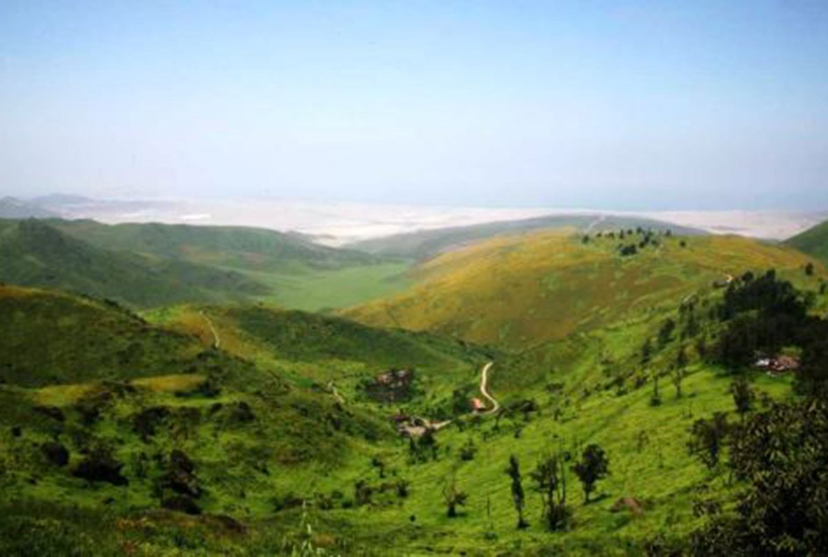 On this  #EarthDay   we're visiting Reserva Nacional de Lachay (Lachay National Reserve), 65 miles north of the capital of Lima, Peru. Wildlife in the reserve includes the Sechuran fox, puma, white-tailed deer, Pampas cat & birds like the Vermilion flycatcher & the Andean tinamou.