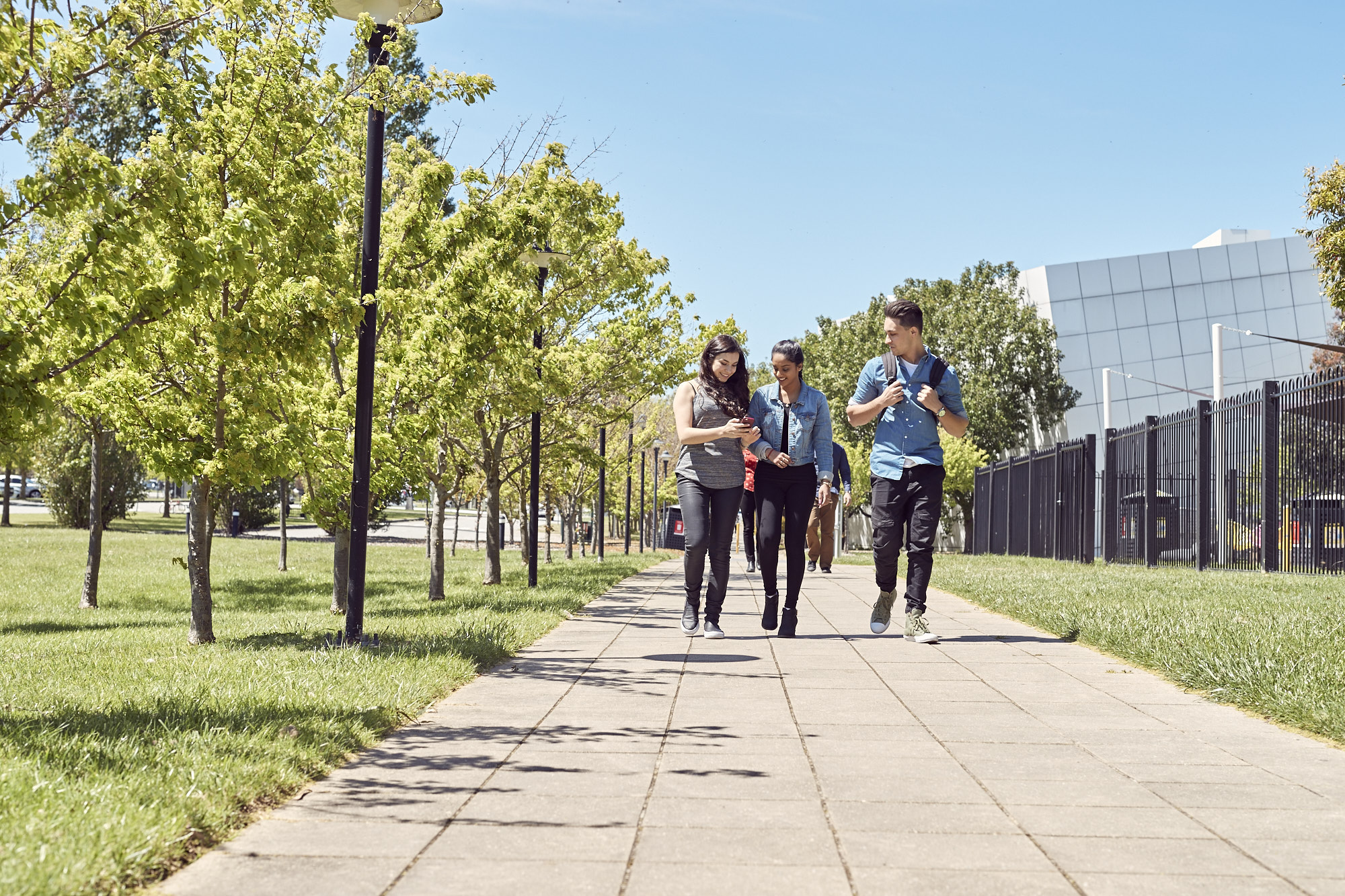 Federation University on Twitter: "#FedUni has been ranked in the top 200 higher education institutions in the world out of 1200 for its overall Sustainable Development Goals! This is the first time