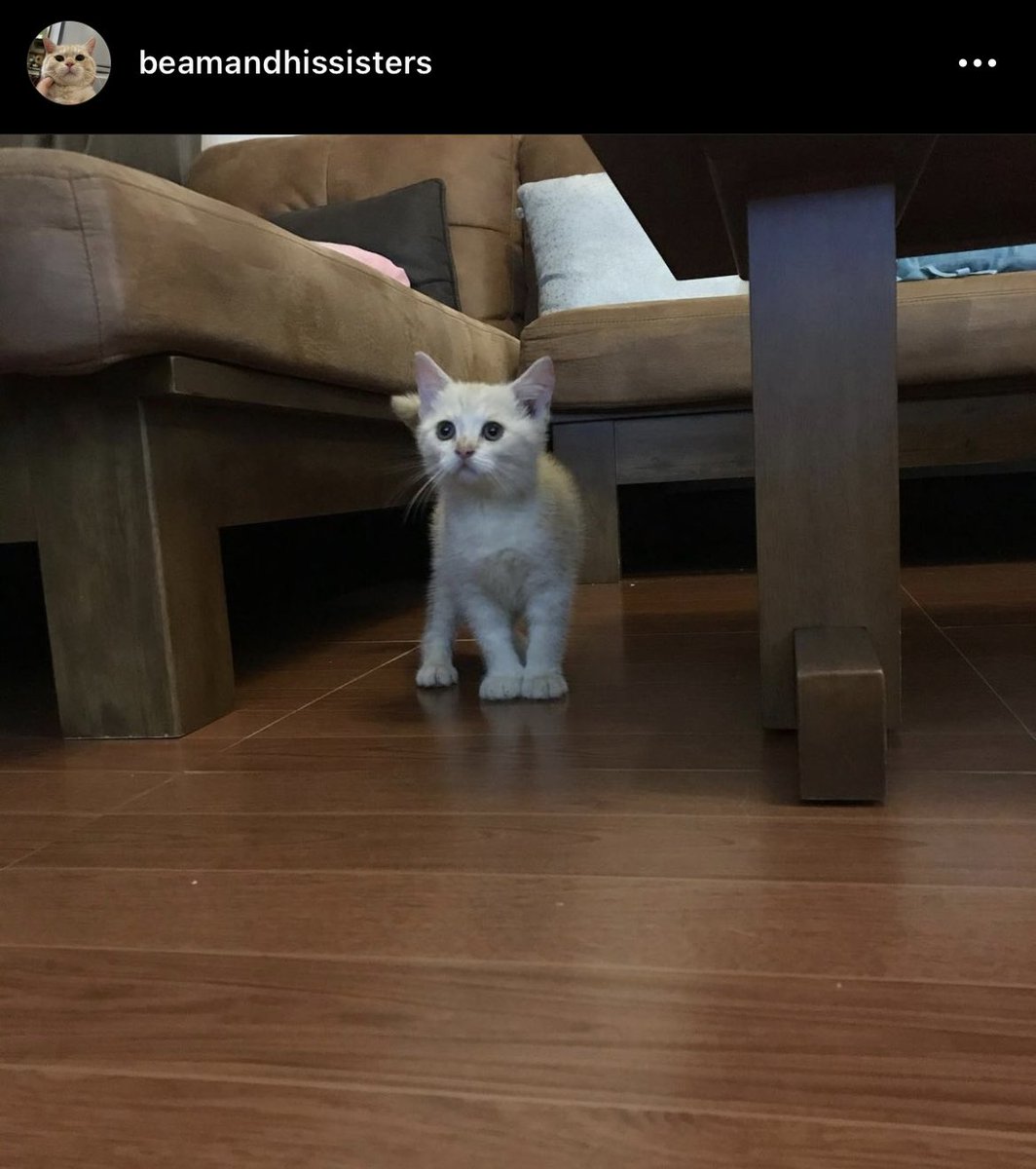 บีมกับน้องๆ tweet media