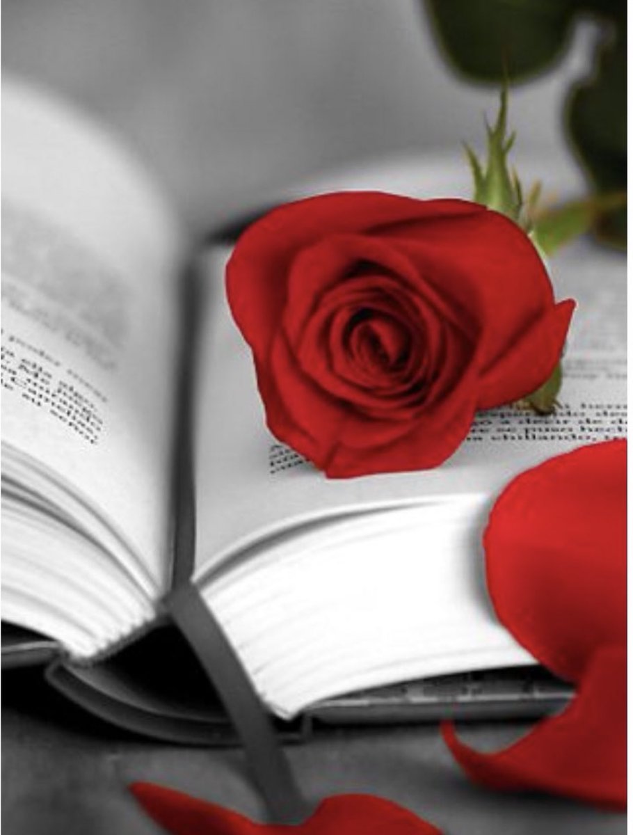 JonInarritu's tweet photo. Bon dia i feliç #SantJordi a tots i a totes! 

#Catalunya 🎗
#SantJordi2021 📕🌹 https://t.co/aSNEMtoKOz