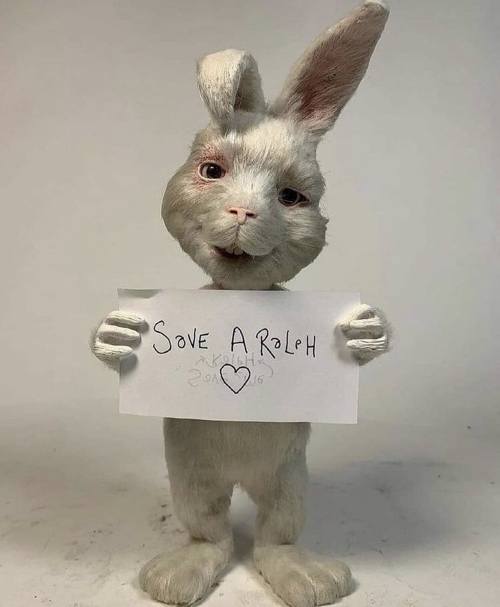 6dxka's tweet photo. I’m sorry #RalphRabbit 😔💔 https://t.co/6qC7MsRKWM