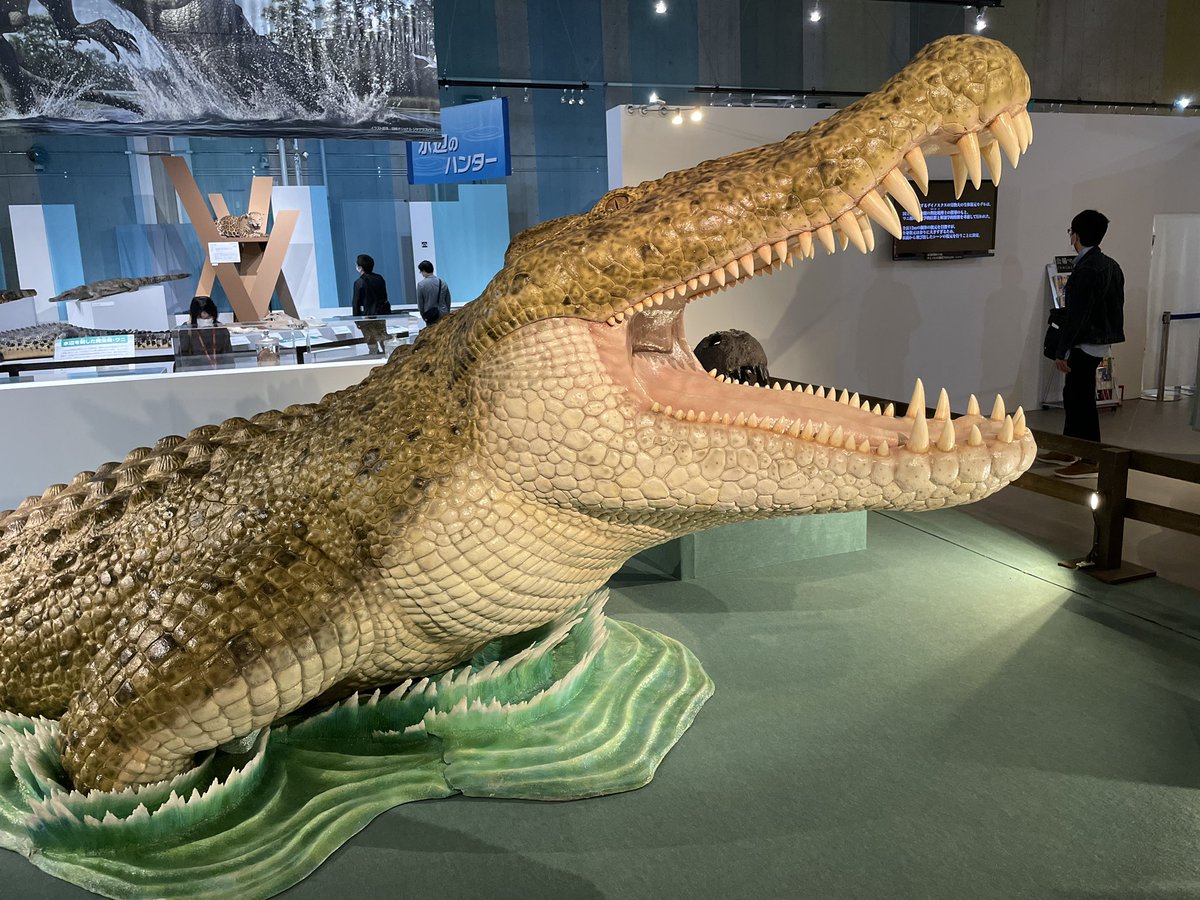 白亜紀の超巨大ワニ「デイノスクス」だ！かっこいい。推定体長12mで