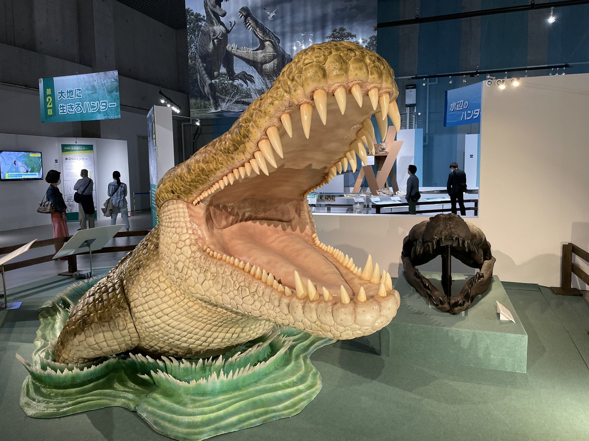 白亜紀の超巨大ワニ「デイノスクス」だ！かっこいい。推定体長12mで