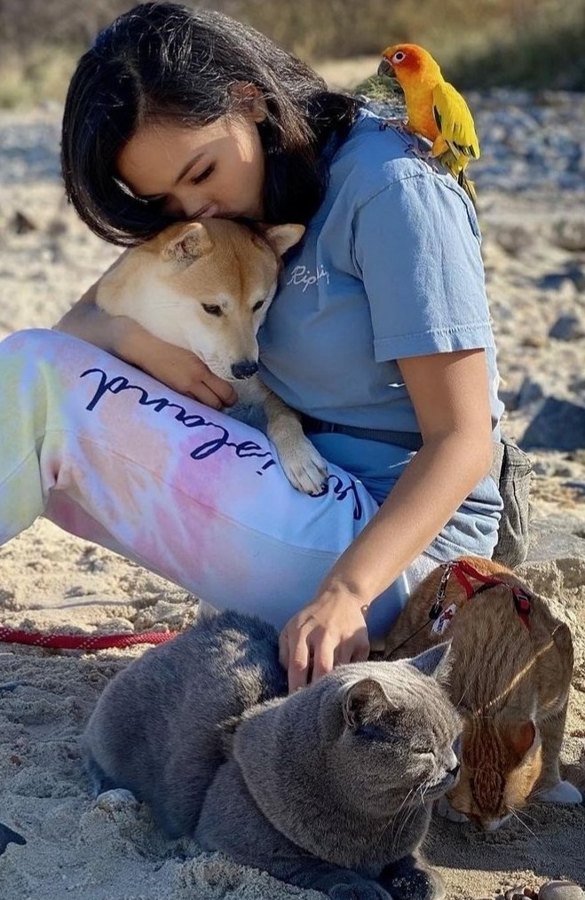 AlkalineGranite's tweet photo. Rest in peace Ponzu, justice shall be served for the pain those hateful  people caused you and your family. No one should have to feel this hurt for spending time out with their family. #justiceforponzu  #StopAsianHate https://t.co/uj1i6octBw