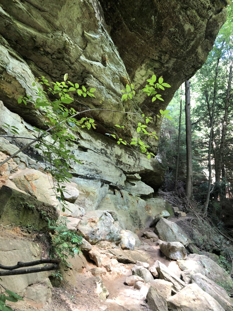 PR262Nsharma's tweet photo. Hey #CapFam you know there are organizations like the Global Student Association who take annual trips to the Hocking Hills State Park. 🏞 It’s a wonderful place to hike and get involved on campus organizations!! https://t.co/bU4RbOzCCu