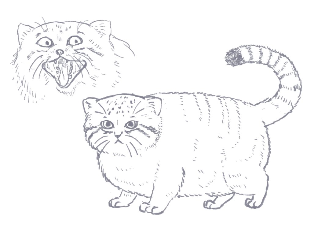 Twoucan 国際マヌルネコ の注目ツイート イラスト マンガ