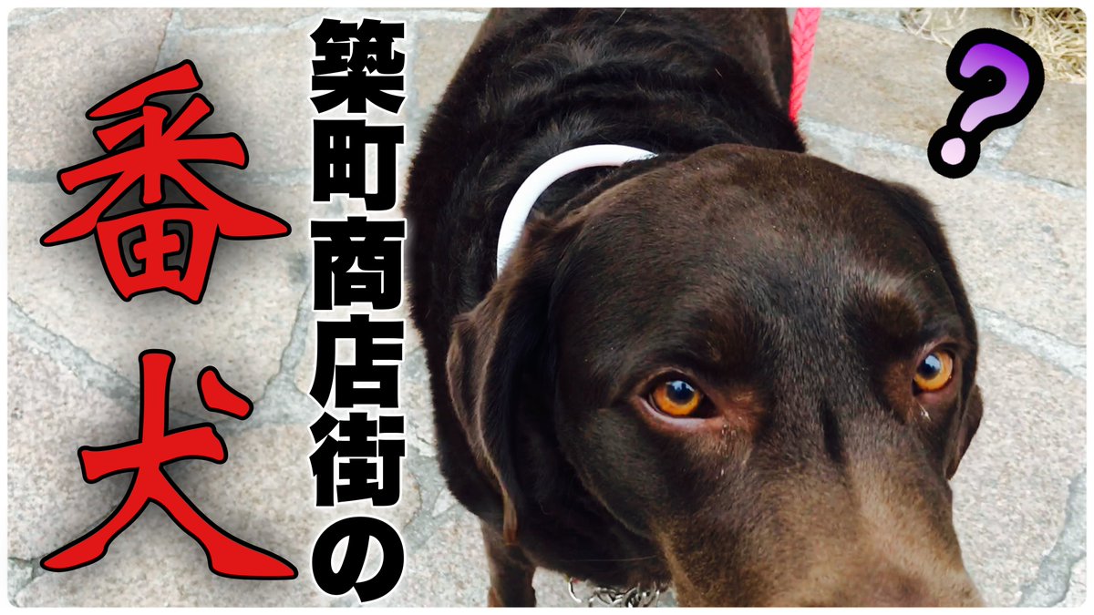 Shunsuke Shunsuke Twit Twitter Shunsuke Shunsuke Twit Twitter