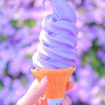 この時期にぜひ堪能してほしい!あしかがフラワーパークの可愛い藤アイス!
