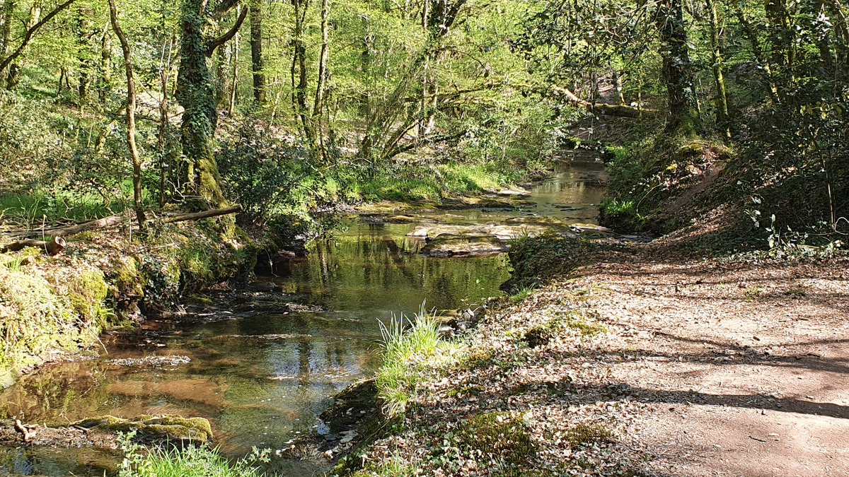 jylls35's tweet image. Pendant que certains se mettent en orbite autour de la terre (good job @Thom_astro) d&apos;autres se reconnectent à la nature à moins de 10kms #ReconnectToNature #EarthDay