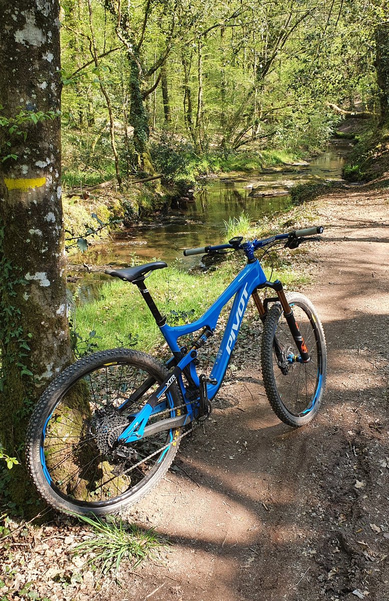 jylls35's tweet image. Pendant que certains se mettent en orbite autour de la terre (good job @Thom_astro) d&apos;autres se reconnectent à la nature à moins de 10kms #ReconnectToNature #EarthDay