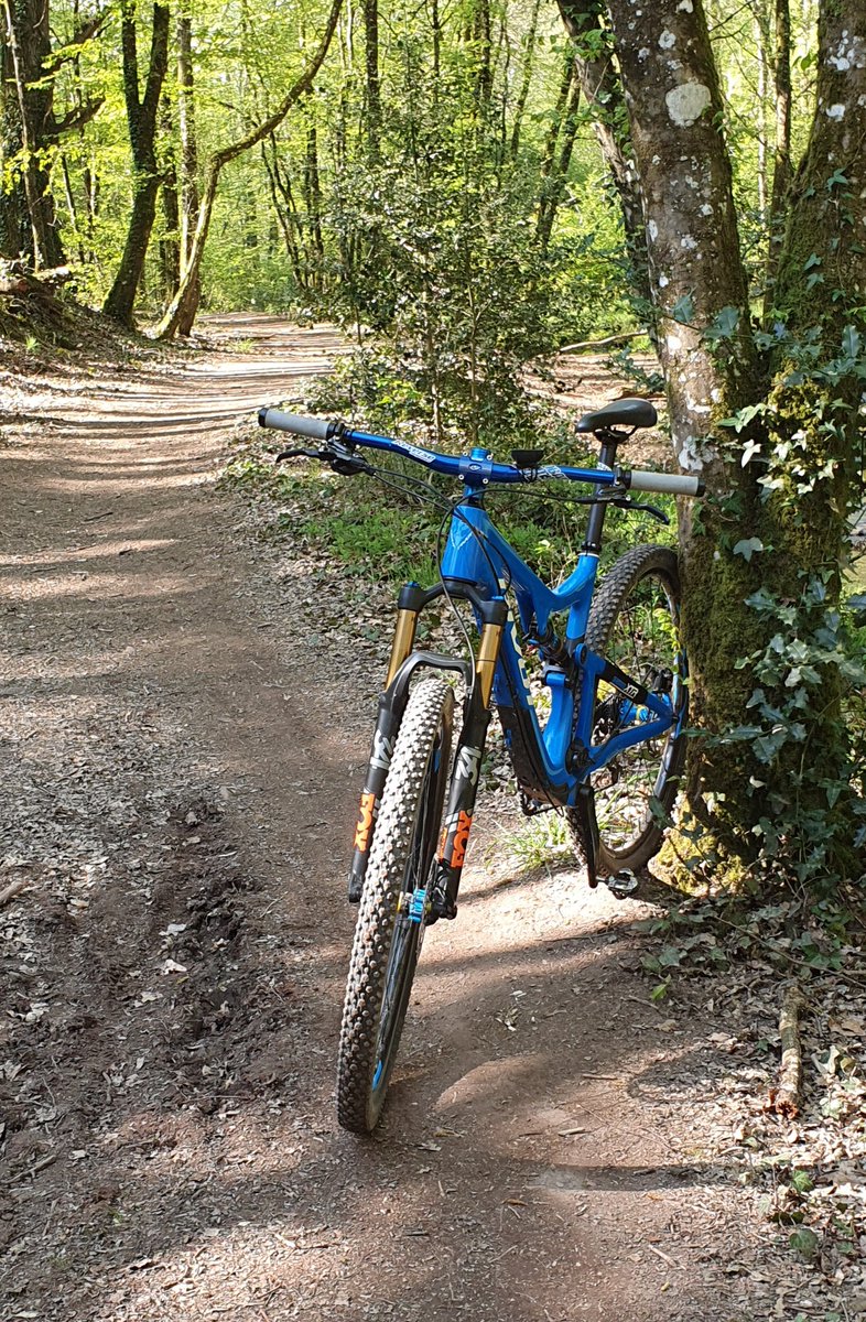 jylls35's tweet image. Pendant que certains se mettent en orbite autour de la terre (good job @Thom_astro) d&apos;autres se reconnectent à la nature à moins de 10kms #ReconnectToNature #EarthDay