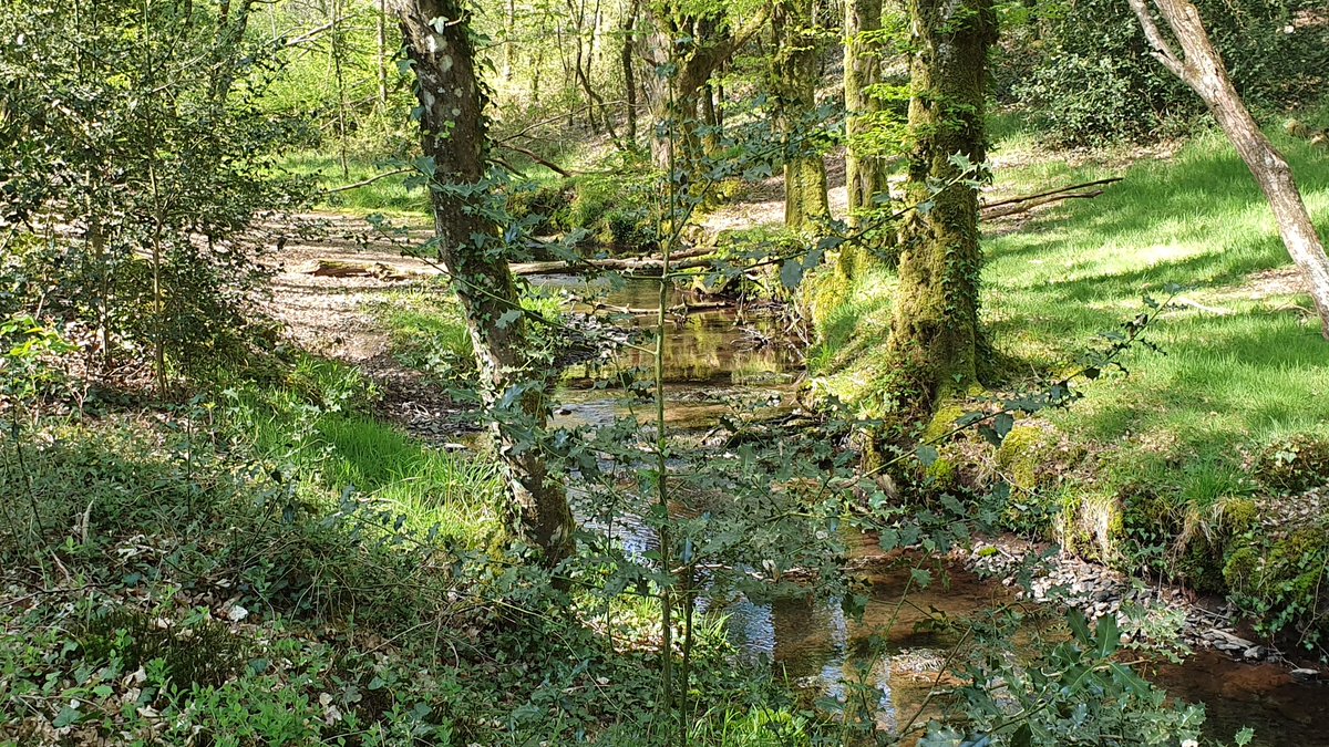 jylls35's tweet image. Pendant que certains se mettent en orbite autour de la terre (good job @Thom_astro) d&apos;autres se reconnectent à la nature à moins de 10kms #ReconnectToNature #EarthDay