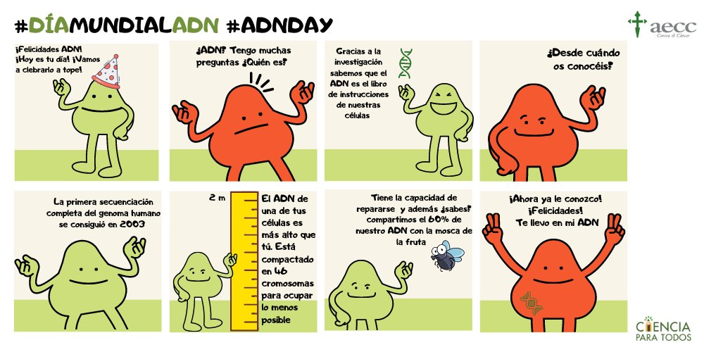 ContraCancerEs's tweet photo. Hemos estado investigando y hemos descubierto muchas cosas sobre el ADN Te las contamos en el #DíamundialADN #adnday En la AECC llevamos la investigación en nuestro ADN #InvestigarEsAvanzar https://t.co/S74lhQiXYi