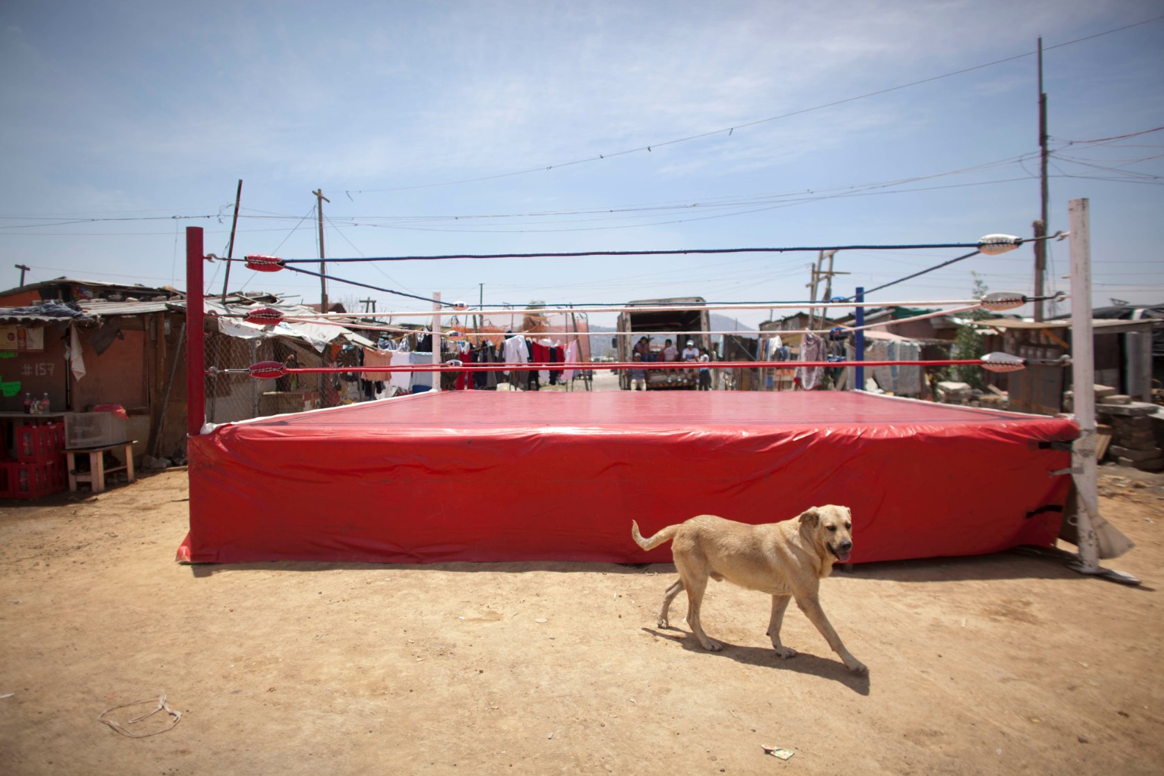 Happy 44th birthday to John Cena!  