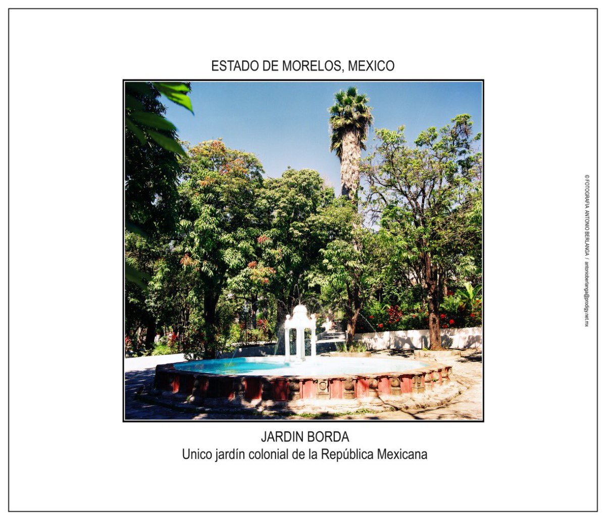 cmartinezcue's tweet photo. Muy buenos días!! ☀️ 

Tener éxito no es aleatorio, es una variable dependiente del esfuerzo.

Fotografía de mi amigo el maestro Antonio Berlanga 

#RSP
#Cuernavaca
#cuernavacamejoracontigo
#DeCiudadanoACiudadano https://t.co/7prmAGbkbm