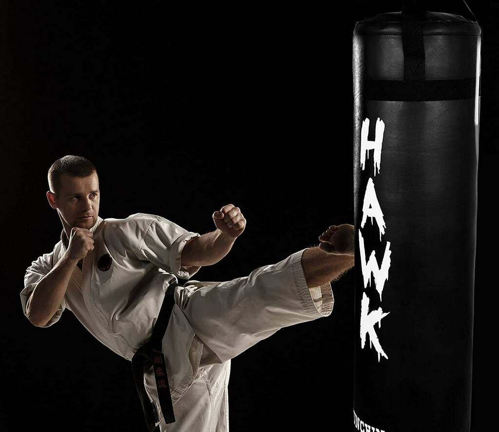 HAWK Punching Bag for Boxing Gloves MMA Training Heavy Target Bag 4FT UNFILLED 