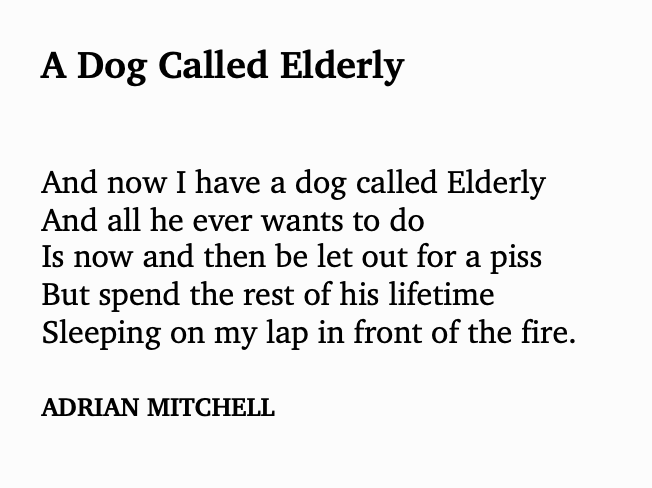 Day 23 -  #APoemADay A Puppy Called Puberty & A Dog Called Elderly - Adrian Mitchell--Today's poems are the naughtiest of the lot! 