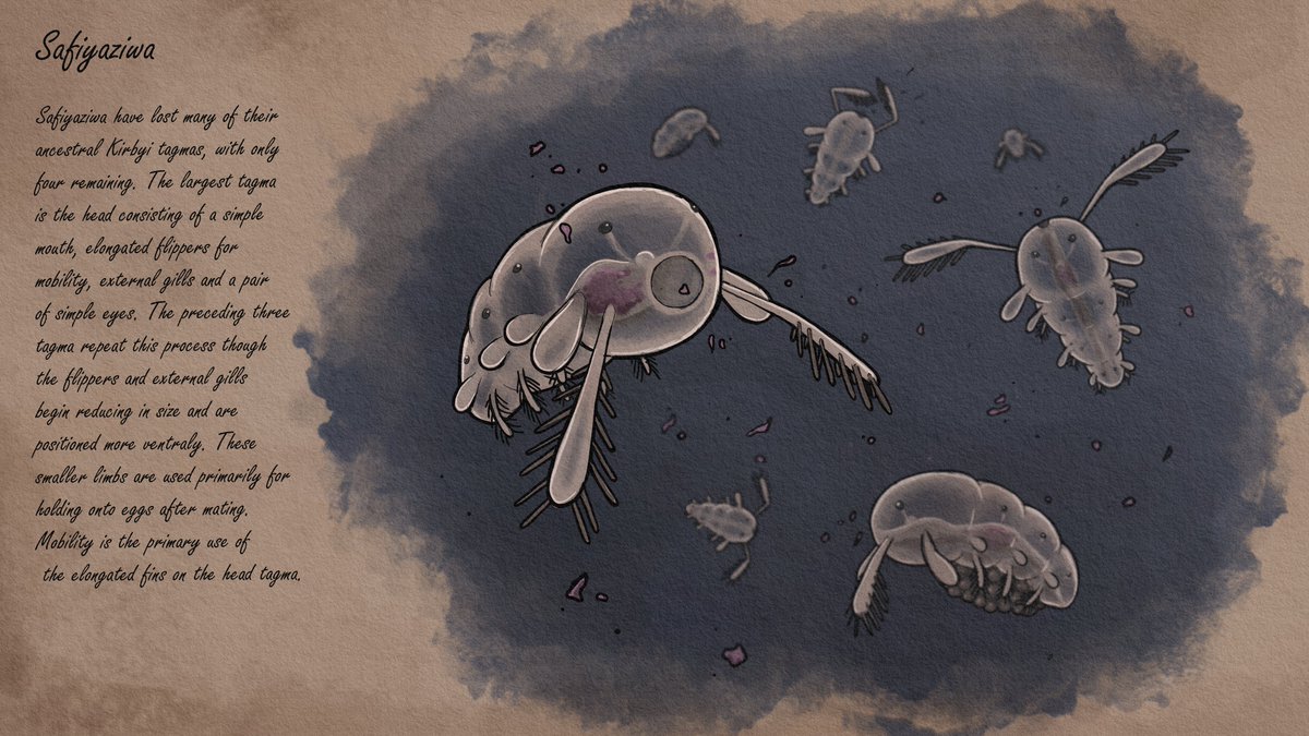 Sean25470265's tweet photo. Another creature for @dinosaur_dapper's #speculativeevolution project. Safiyaziwa is a tiny detritivore who helps keep Almaishah's waters clean 🧹 I had a hand in designing this one, but @Saurus_Blood wrote all the text 😄
#speculativeevolutionart #digitalart #creaturdesign #art https://t.co/rpnxArbvHq