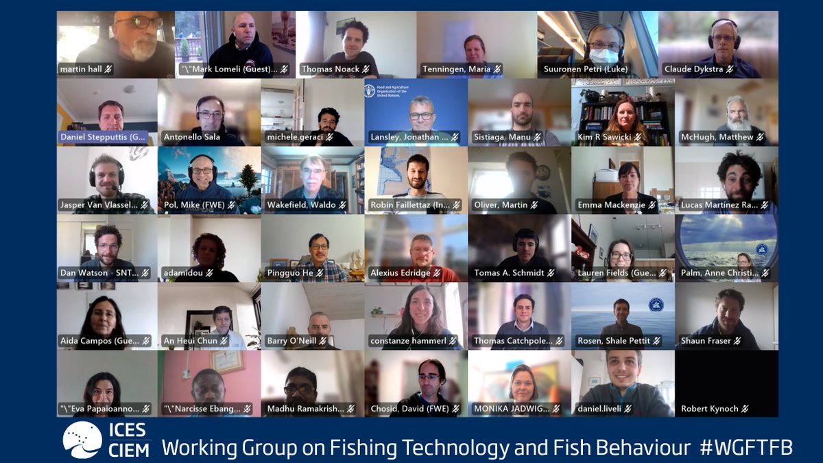 This week 75 experts joined one of our largest groups-the Joint ICES <a href="/FAOfish/">Fisheries & Aquaculture</a> Fishing Technology &amp; Fish Behaviour #WGFTFB to discuss all aspects of fishing gear design, planning &amp; testing, the effects of fishing tech &amp; fish behaviour in relation to fishing
ices.dk/community/grou…