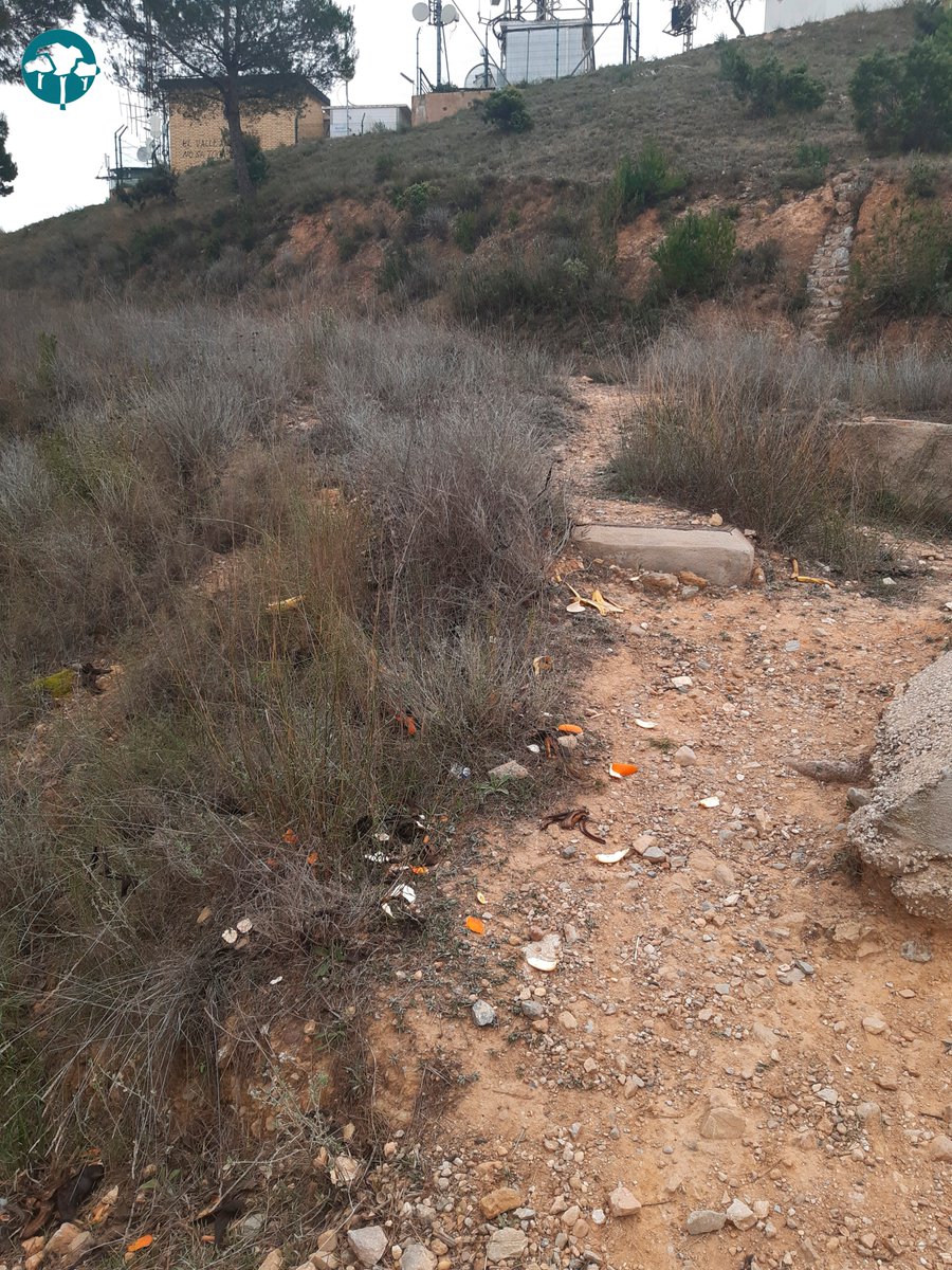 Hasta el monte se pregunta de dónde ha salido esto...❓❓🍊 Aunque sea orgánica es #basura, perjudica a la #flora 🥀 y no le hace ningún favor a la #fauna 🤮 En tus paseos por #ElVallePR guárdala en tu 🎒 y después, al contenedor correspondiente 🚮 #BuenasPrácticas 😉 Gracias 😘