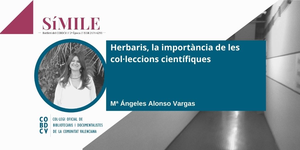 cobdcv's tweet photo. 🆕 Nou article a la #RevistaSimile 🆕

🌱 Herbaris, la importància de les col·leccions científiques 🌱

✍ @MANGELESALONSOV 

📲 Llig l'article en: https://t.co/tYr2jBnNiJ https://t.co/qK6KbKaJB1