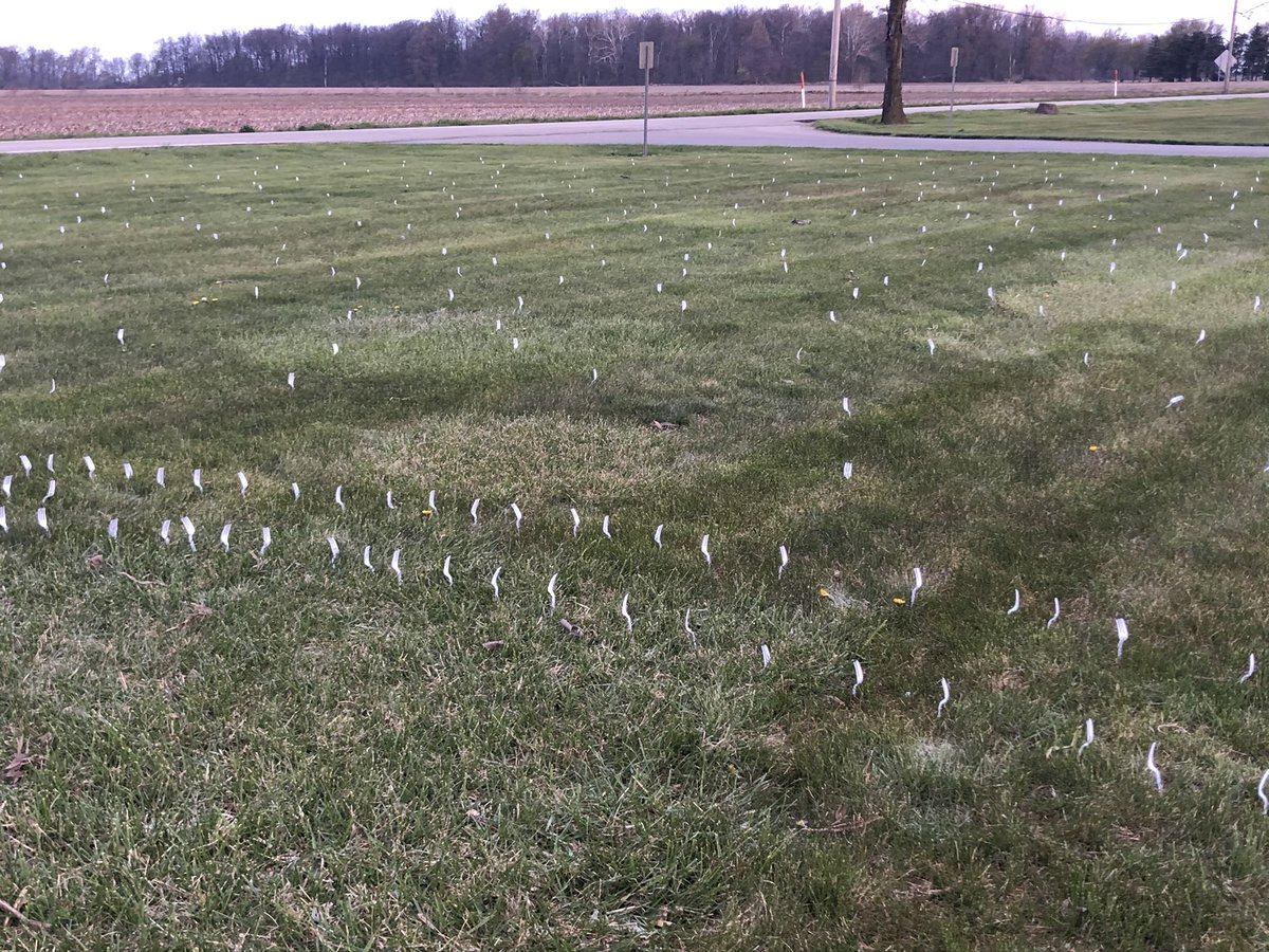 wdprincipal's tweet photo. We got forked! 😁 Fun way for Seniors to do their “senior prank”. BTW this was approved...👍 Fun in 21! #seniorprank21 #WDpride https://t.co/ag0alNbt2c