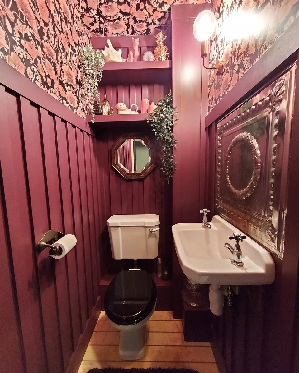 TheCuriousDepartment tweet media