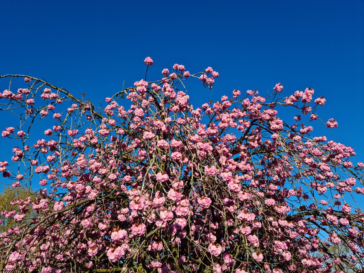 Martin Sinclair tweet media
