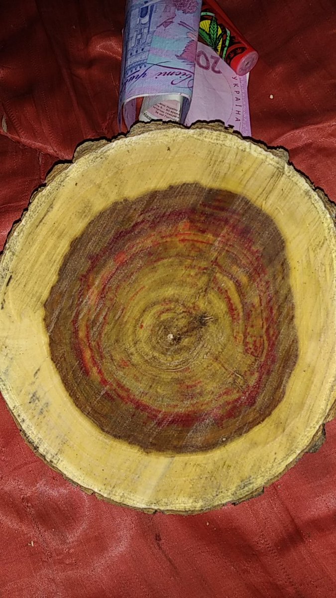 FalconFox10's tweet image. Красота