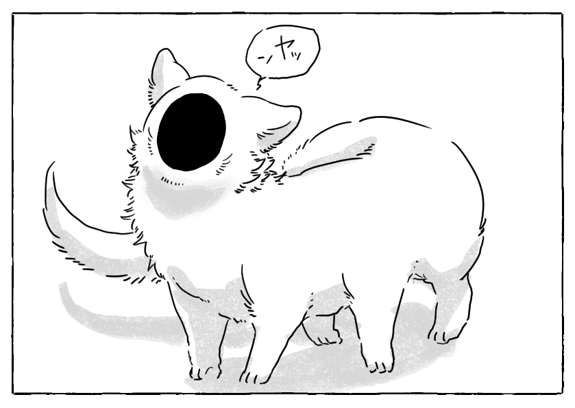 貂は女の子です 