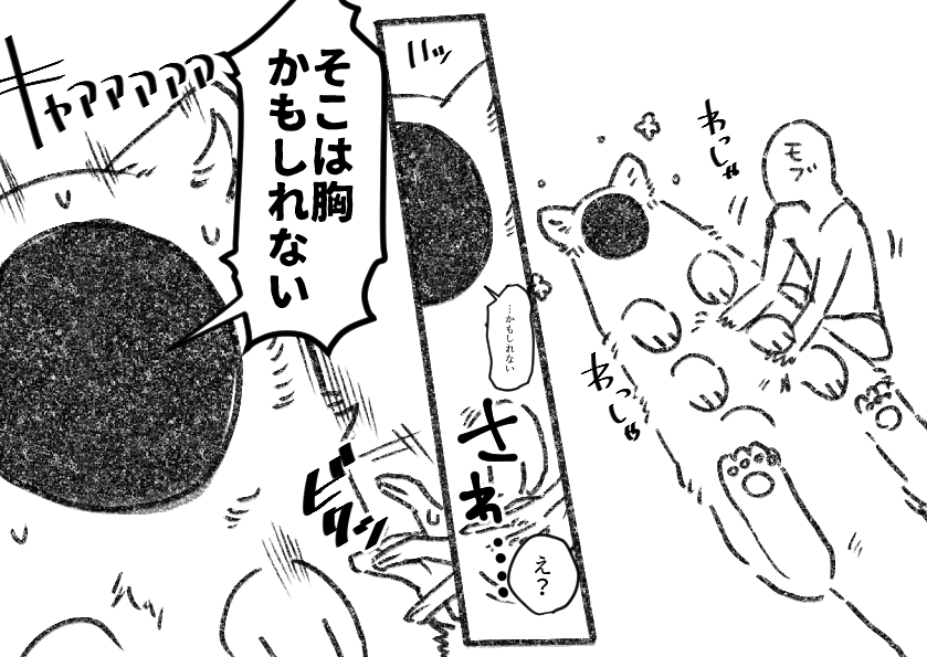 貂は女の子です 