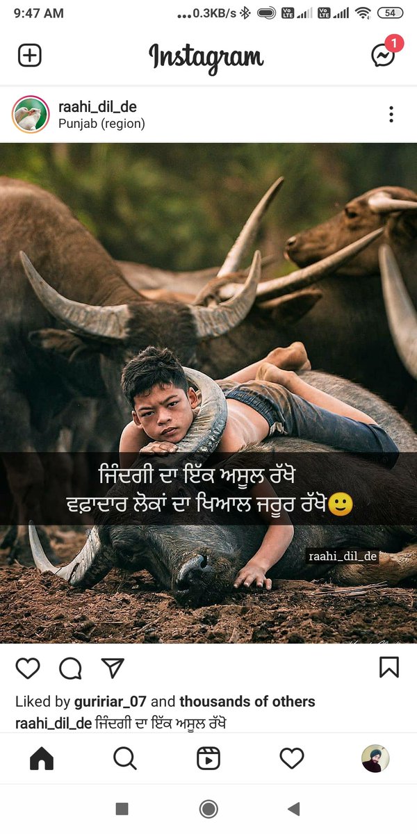 jaswal_jai's tweet photo. https://t.co/uBeXDSieY3