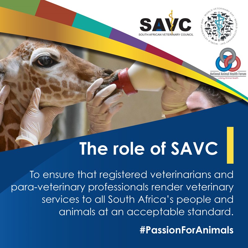 The role of the SAVC
To ensure that registered veterinarians and para-veterinary professionals render veterinary services to all South Africa’s people and animals at an acceptable standard.
#PassionForAnimals