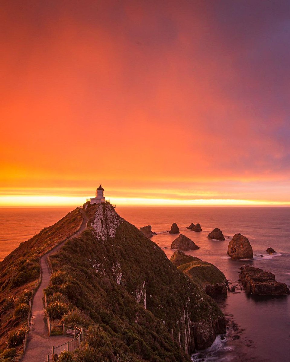 Like a Boss Programme tweet media