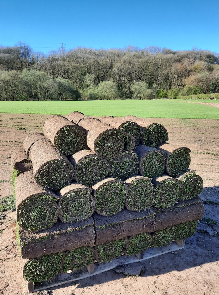 Lymefield's tweet photo. How many rolls of #turf did you say you needed...?! Straight from #Lymefield to your #garden. Place your order with the team on 01457764686 π»
#GardenCentre
#cheshire #manchester #tameside
#highpeak & #Derbyshire border https://t.co/eIvQKshKXp