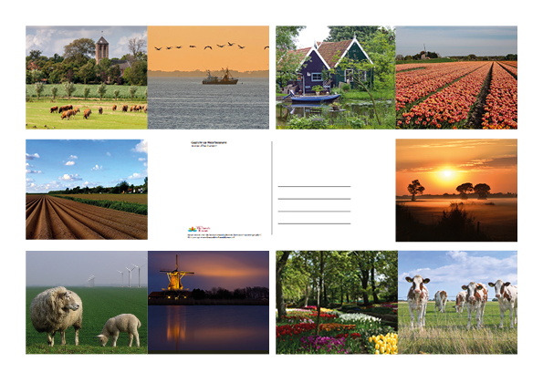 Een ode aan het Hollands Kroonse landschap! De tien mooiste foto’s van de fotowedstrijd Ode aan het Landschap zijn afgedrukt op ansichtkaarten en vanaf nu verkrijgbaar bij verschillende locaties in Hollands Kroon. bit.ly/3x9M0bE