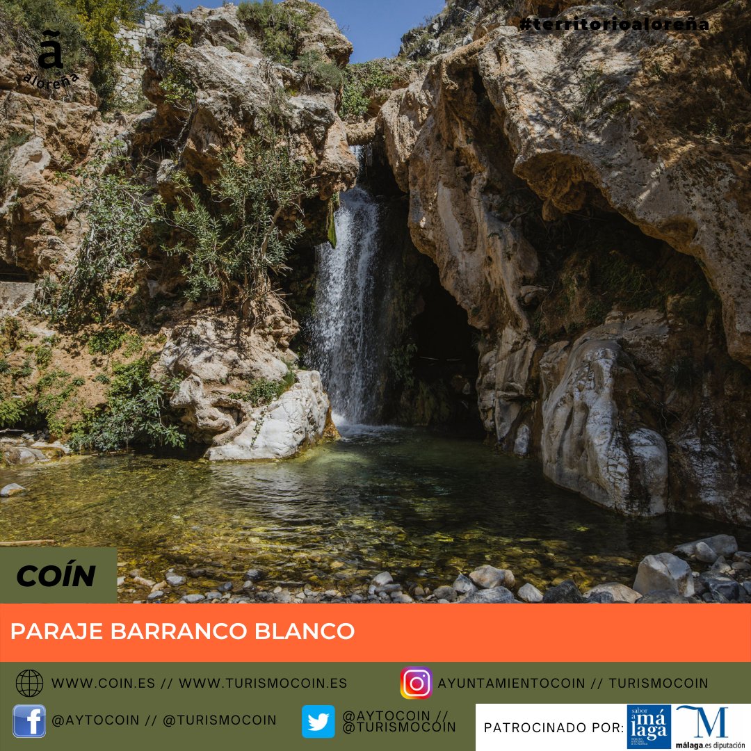AlorenaDeMalaga's tweet photo. TERRITORIO ALOREÑA
La zona de producción de la DOP Aceituna Aloreña de Málaga está formada por 19 municipios malagueños: hoy os mostramos Coín. @AytoCoin @TurismoCoin

Con @SaboraMalaga y @diputacionMLG

#territorioaloreña #dop #origen #aceituna #coin #malaga https://t.co/3OZgO4t9GJ