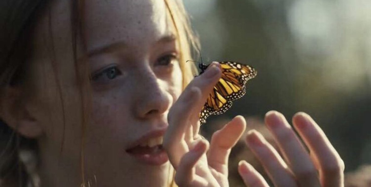 anne with an e characters as a butterflies thread  butterlies are so beautiful and my favourite ones   #annewithane  #renewannewithane