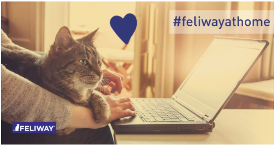 vet_prof's tweet photo. Can you help with new research looking at the impact of COVID19 on cats and their behaviour?  Has your cat/s found lockdown/s stressful, or has your cat/s enjoyed seeing more of you? Thank you in advance! 
https://t.co/fFPskMdtLl https://t.co/PL8aXlyjju