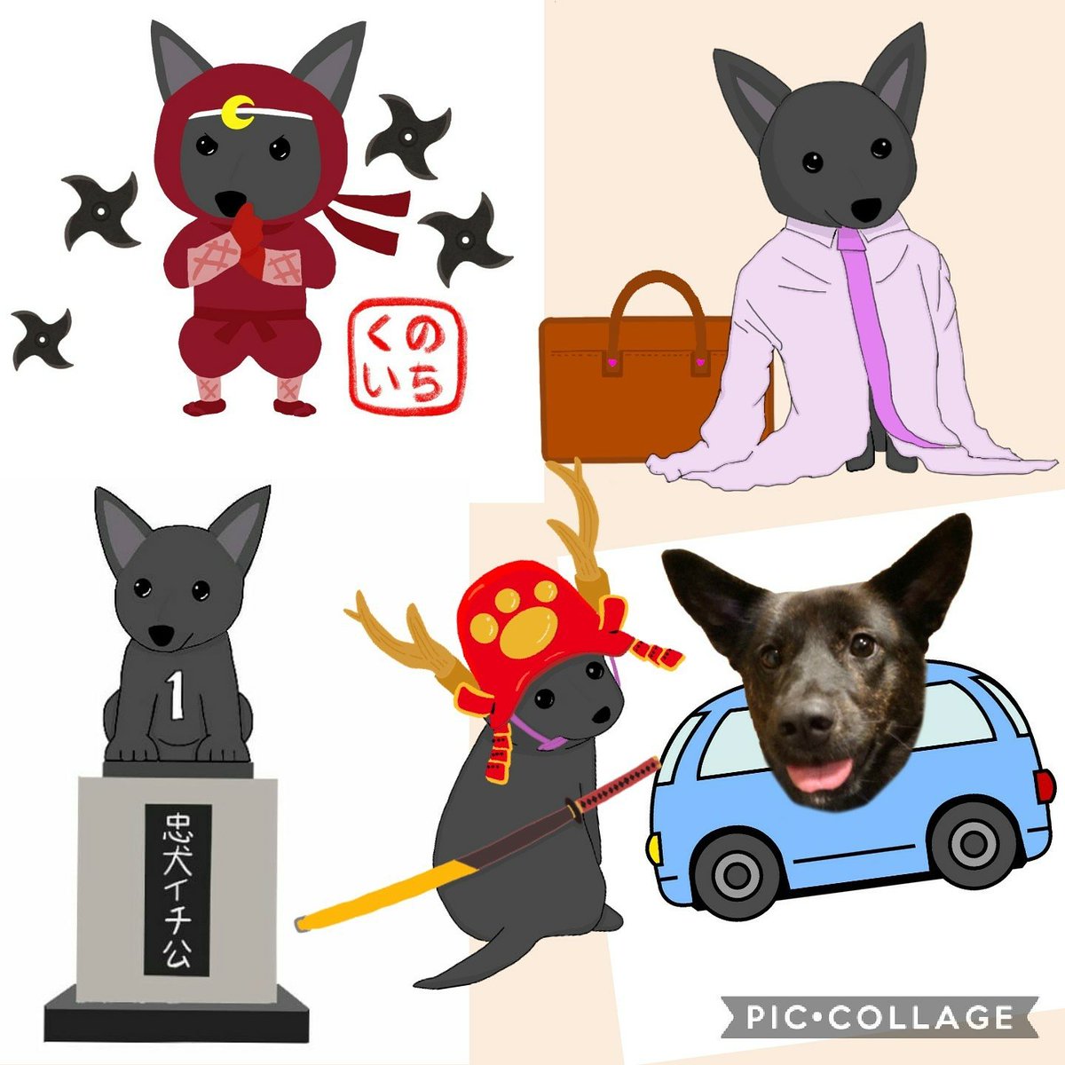 甲斐犬いち Ichi The Japanese Dog Ichi Japanese Twitter 甲斐犬いち Ichi The Japanese Dog Ichi Japanese Twitter