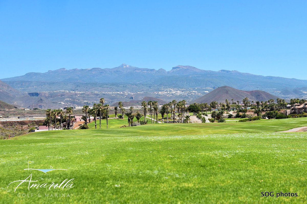 Ya tenemos todo preparado para un fin de semana muy intenso en Amarilla Golf, llega el TORNEO DE PRIMAVERA, muy esperado por nuestros golfistas!!!

#amarillagolf #tournament #golf #tenerifegolf #amarillaexperience #golfer #golfcourse #spring  #tenerife #golflife #golfpro
