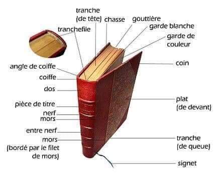 Journée mondiale du #livre. 
En connaissez-vous les différentes parties?

#journeemondialedulivre 📚