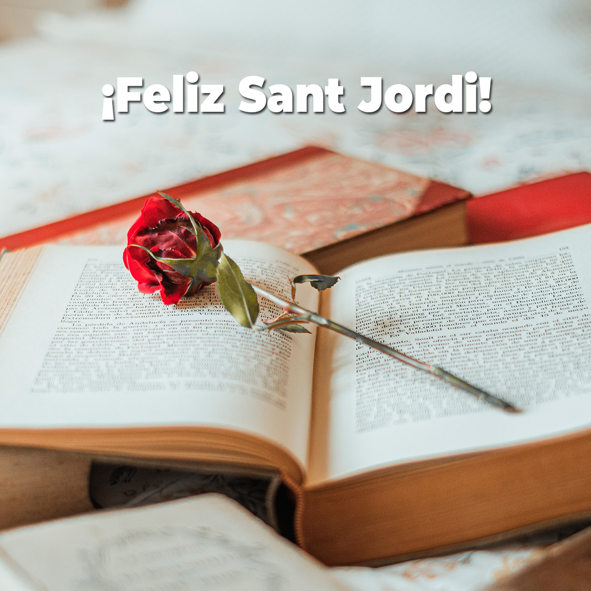 ¡Os deseamos un Feliz Día de Sant Jordi! ❤️ #SantJordi2021