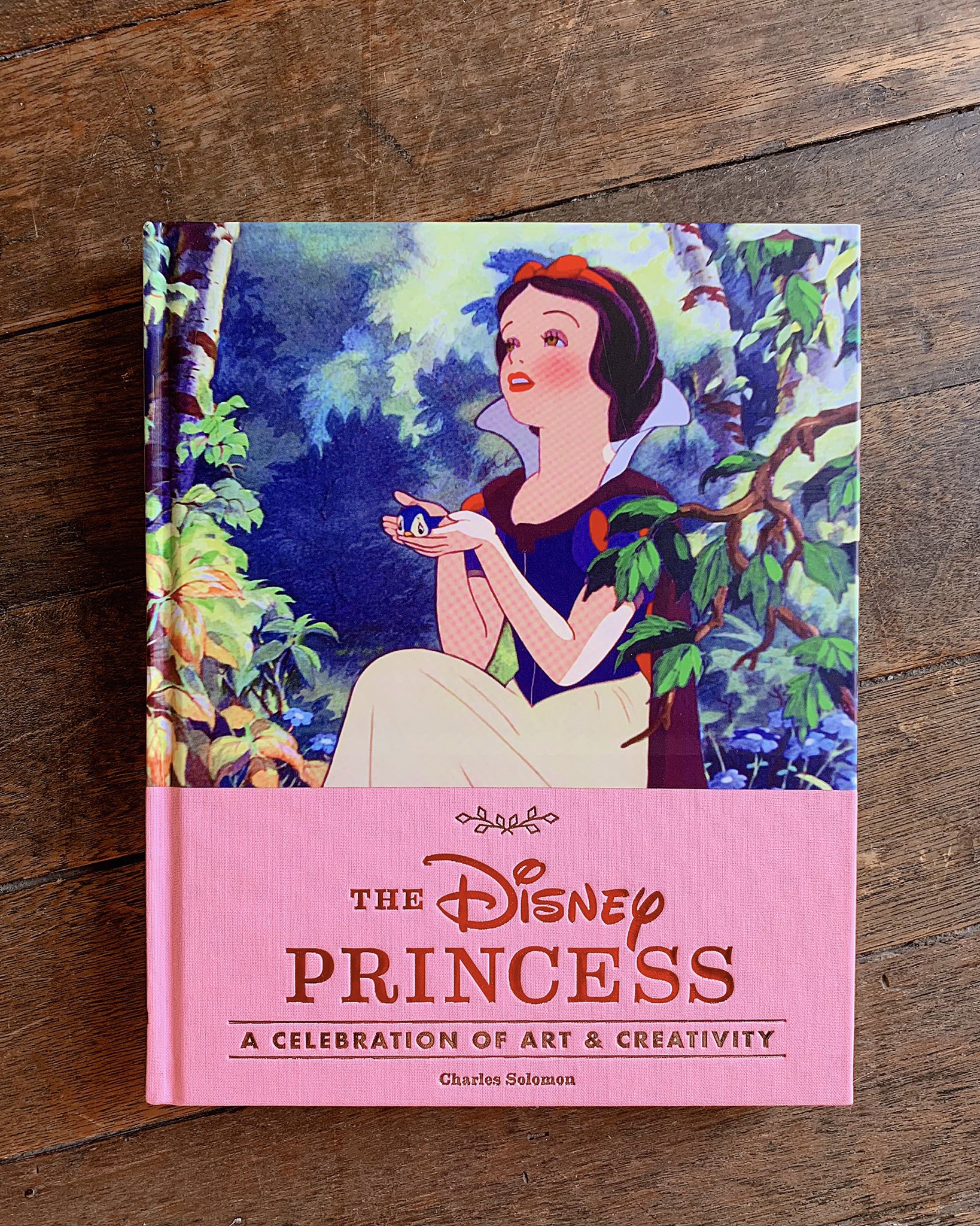 An Artist's Take on Disney Princesses Through the Decades - Inside the Magic