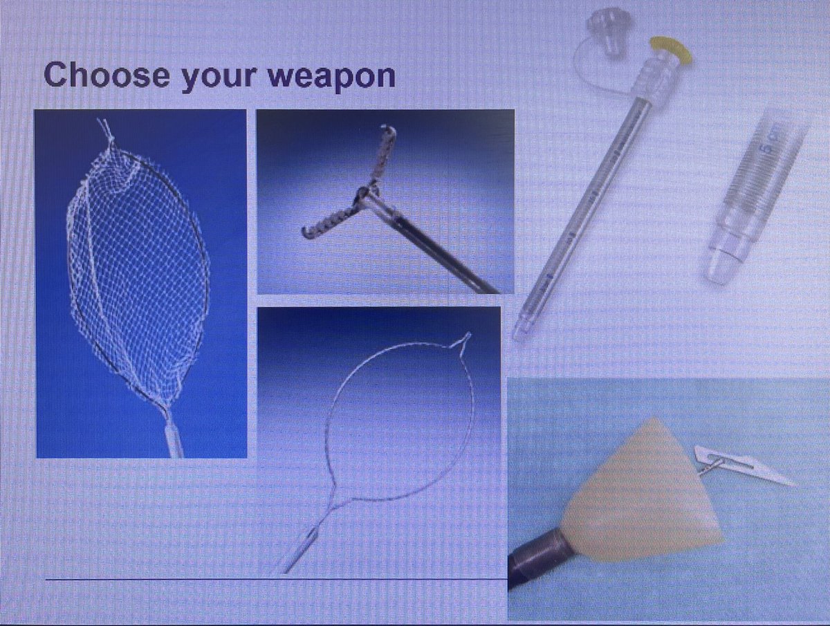 Foreign body ingestion: before you scope, think of the ‘three Ts’ 

Timing - urgent, if above diaphragm

Team - skilled nurses &amp; anaesthetic support

Tools -  choose your weapon! 

@StGeorgesTrust #StGeorgesDay