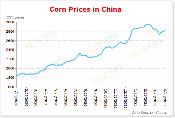 Cofeed5's tweet image. China's demand for #corn and #soybean in global market remains strong although it starts seeking to reduce corn and soymeal use in pig and poultry feed, which is due to domestic high prices and hog herd rebuilding after African swine fever.