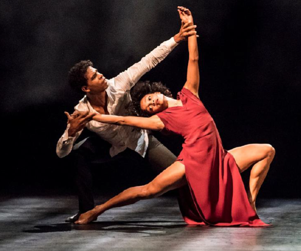 Ryan Burdock tweet media