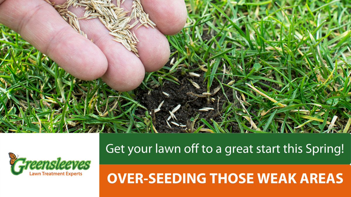 Get your lawn looking its best this #spring: OVER-SEEDING THOSE WEAK AREAS

Now is the time to seed those weak areas so that your lawn is #lush, come #summer.

If you need any advice on how to achieve a lush, thick green #lawn visit greensleeves-uk.com.